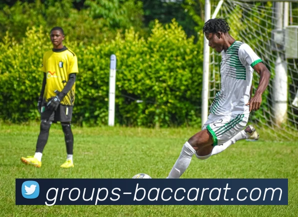 百家乐官网积极参与本地社区，回馈社会，支持慈善事业。百家乐平台百家乐集团官网平台生态图