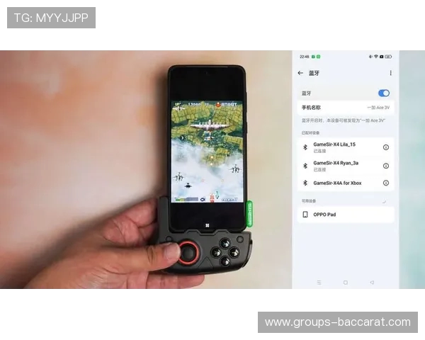 仅售手柄玩手机游戏是否可行 专业分析与市场前景探讨